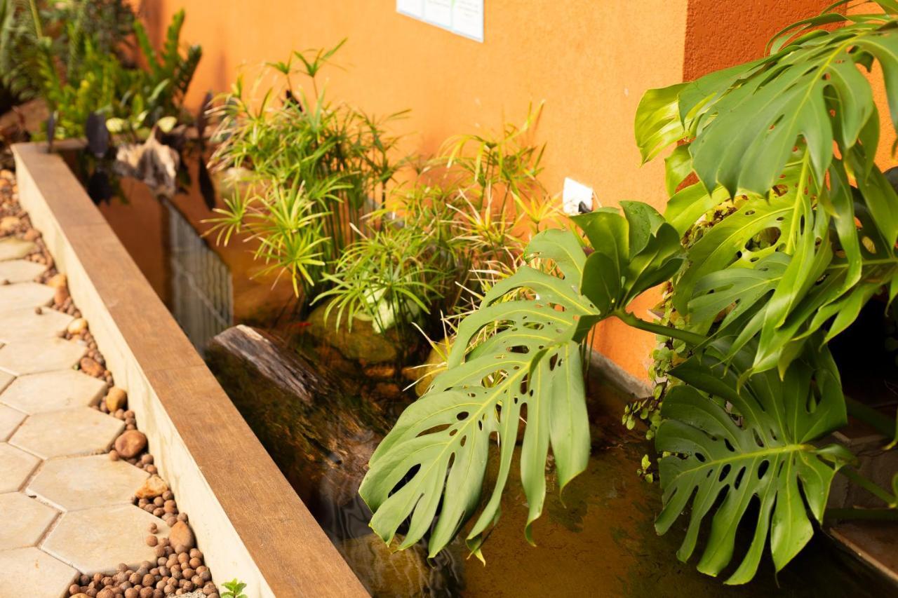 Resort Particular Perfeito P/ Familias Com Criancas E Grupos 伊瓜苏 外观 照片